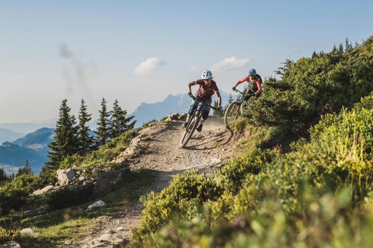 Alpenparks Chalet & Apartment Steve Lodge Viehhofen Εξωτερικό φωτογραφία
