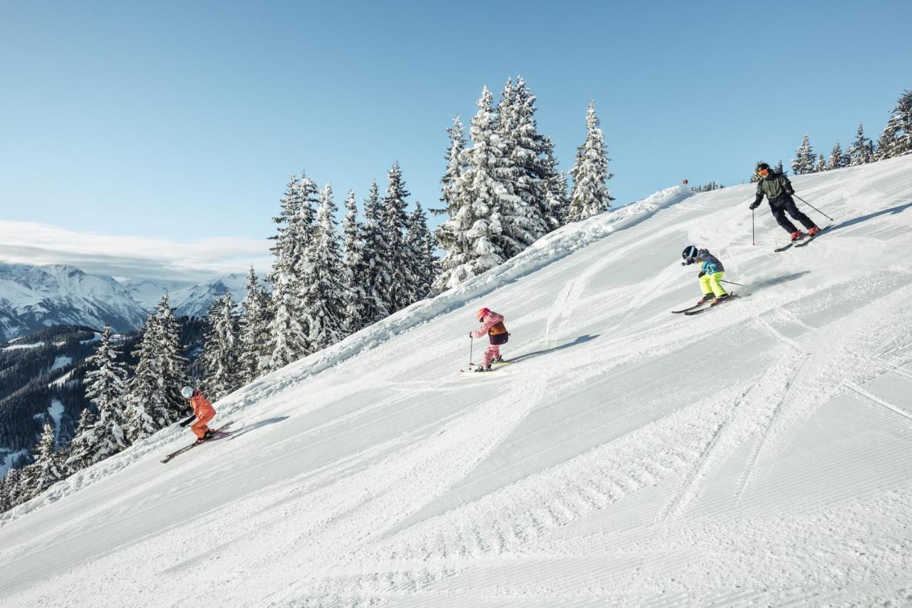 Alpenparks Chalet & Apartment Steve Lodge Viehhofen Εξωτερικό φωτογραφία