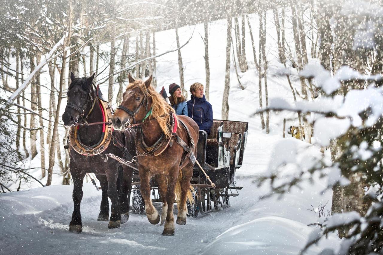 Alpenparks Chalet & Apartment Steve Lodge Viehhofen Εξωτερικό φωτογραφία